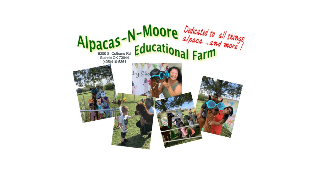 Alpacas-N-Moore Logo