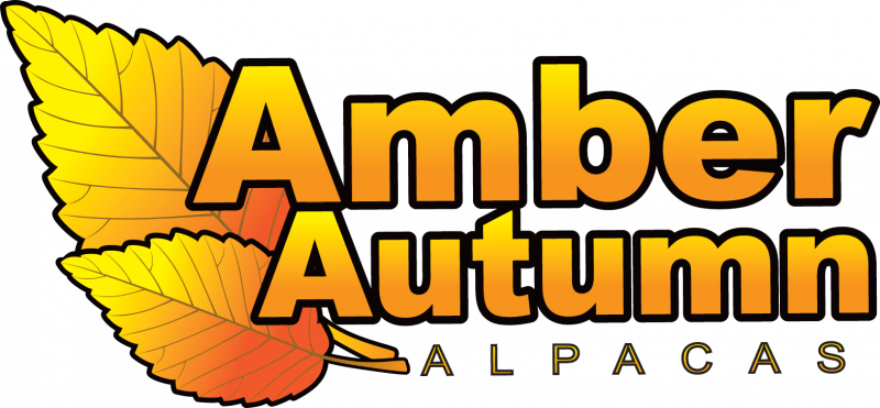Amber Autumn Alpacas Logo