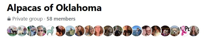 Alpacas of Oklahoma Facebook Private Group Snippet