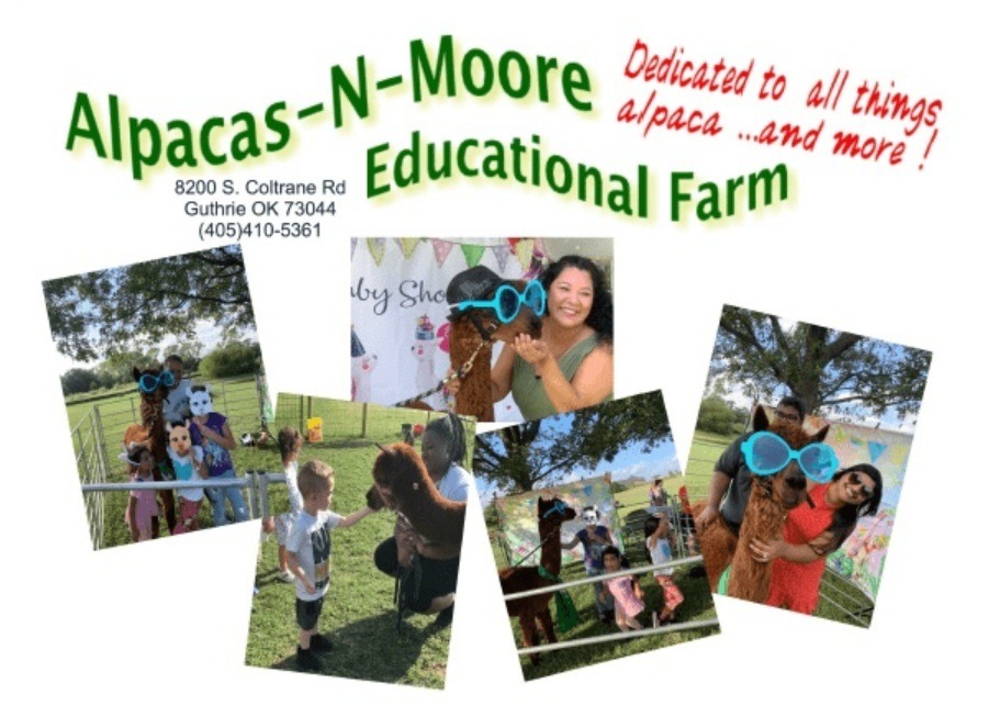Alpacas-N-Moore Logo