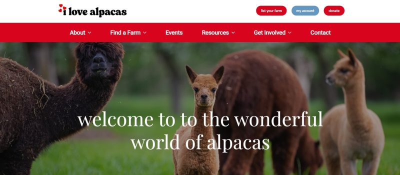 I Love Alpacas Screenshot