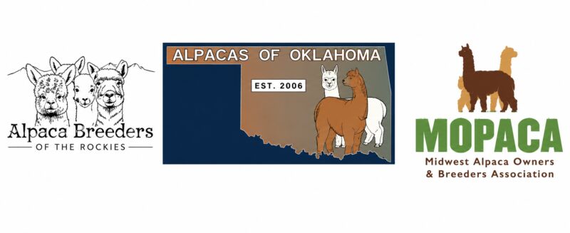 ABR, A-OK, MOPACA Logo Trio
